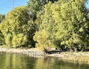 Rheidter Werth IMG 4664.jpg