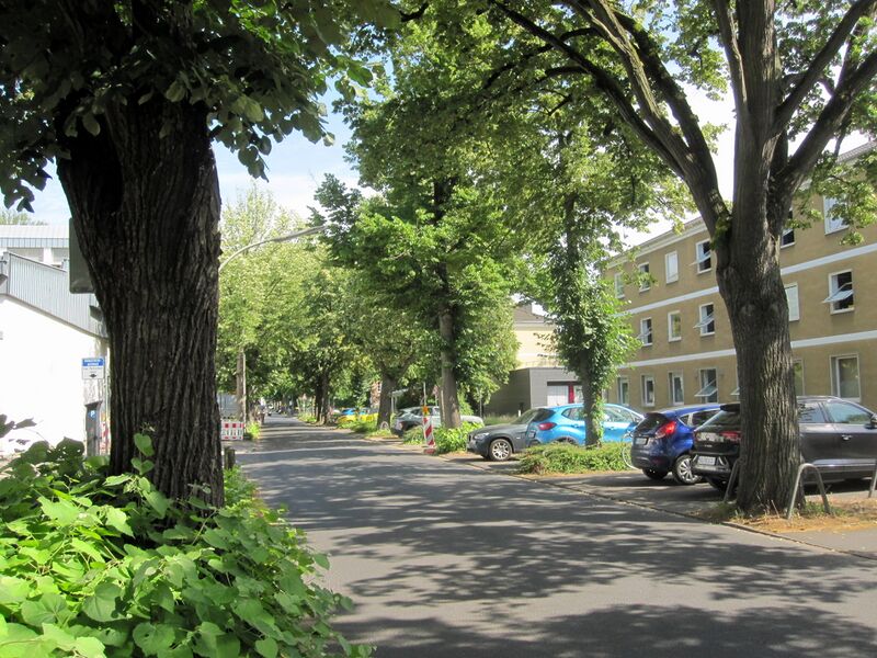 Datei:Nussallee IMG 3554.jpg