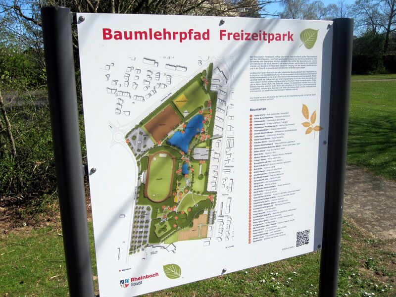 Datei:Hinweis Baumlehrpfad Rheinbach IMG 1089.jpg