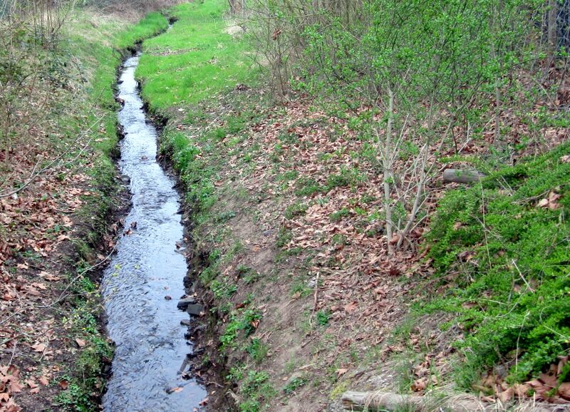 Datei:Alaunbach IMG 3145.jpg