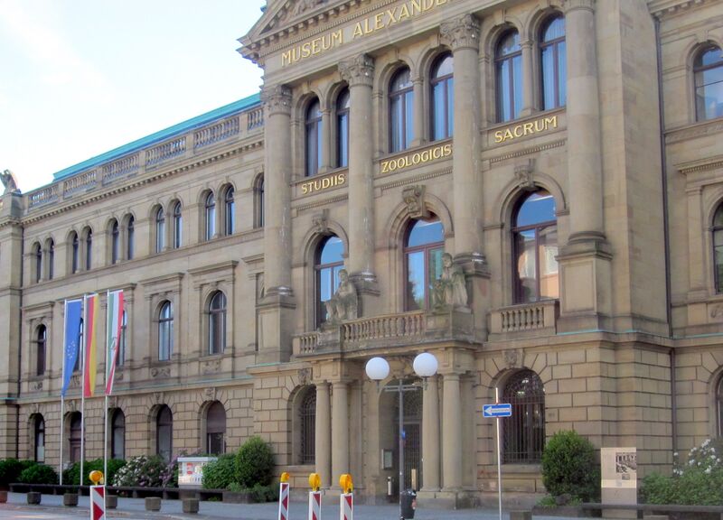 Datei:Museum Koenig Bonn IMG 1479.jpg