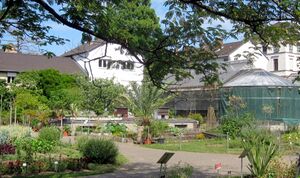 Botanischer Garten IMG 3537.jpg