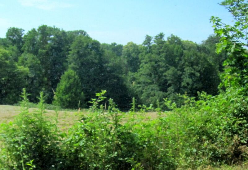 Datei:Landschaft Katzenlochbachtal IMG 3525.jpg