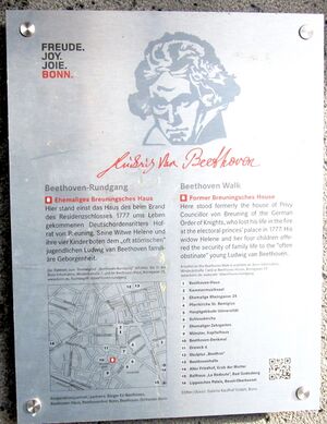 Breuningsches Haus IMG 3020.jpg