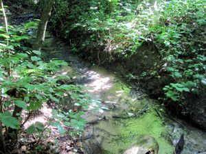 Am Heilsbach im Derletal IMG 3469.jpg