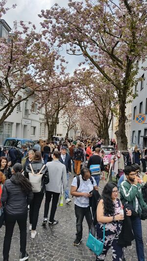 Die Heerstraße ist von einem Kirschblütendach überspannt. Rechts und links zwischen geparkten Autos kann man Flohmarktstände der Anwohner:innen sehen. Die Straße ist sehr gut gefüllt mit Flohmarktkund:innen und Tourist:innen aus aller Welt.