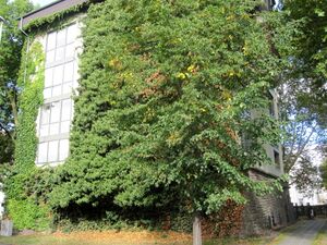 Hochbunker Beuel IMG 2400.jpg