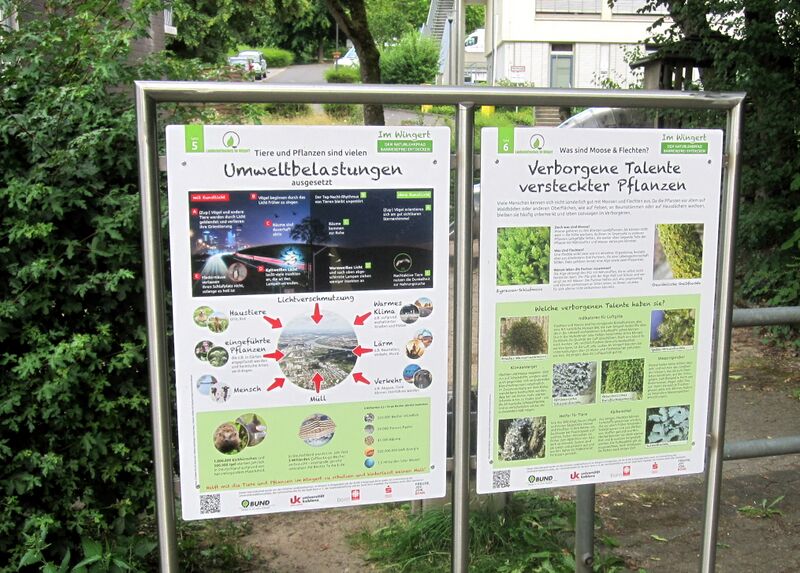 Datei:Naturlehrpfad Im Wingert IMG 3613.jpg
