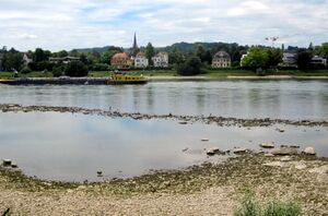 Niedrigwasser bei Mehlem IMG 3427.jpg