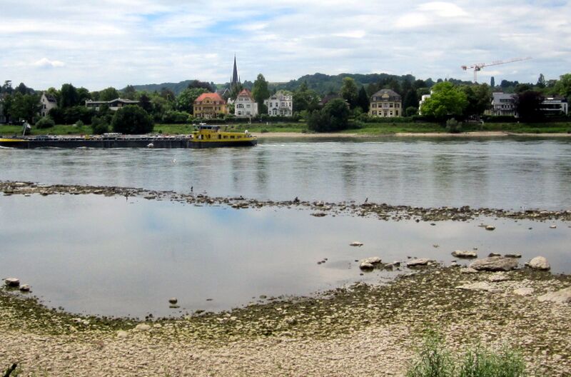 Datei:Niedrigwasser bei Mehlem IMG 3427.jpg