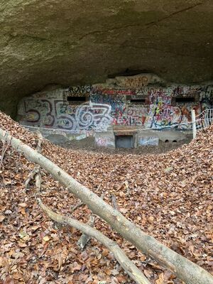 Zu sehen ist einer der ehemaligen Haupteingänge des Bergwerks, der heute durch eine Betonwand verschlossen ist. Darauf befindet sich viel Graffiti und eingelassen sind die Durchflugschlitze für die Fledermäuse.