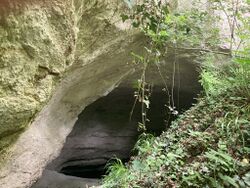 Zu sehen ist der halbe Eingang der ehemaligen Ofenkaule, der heute soweit zugeschüttet ist, dass niemand mehr tief hineingehen kann. Heller Felsen aus Trachyttuff, davor in der rechten Bildhälfte ein Erdhügel, der mit Efeu und etwas Gras bewachsen ist.